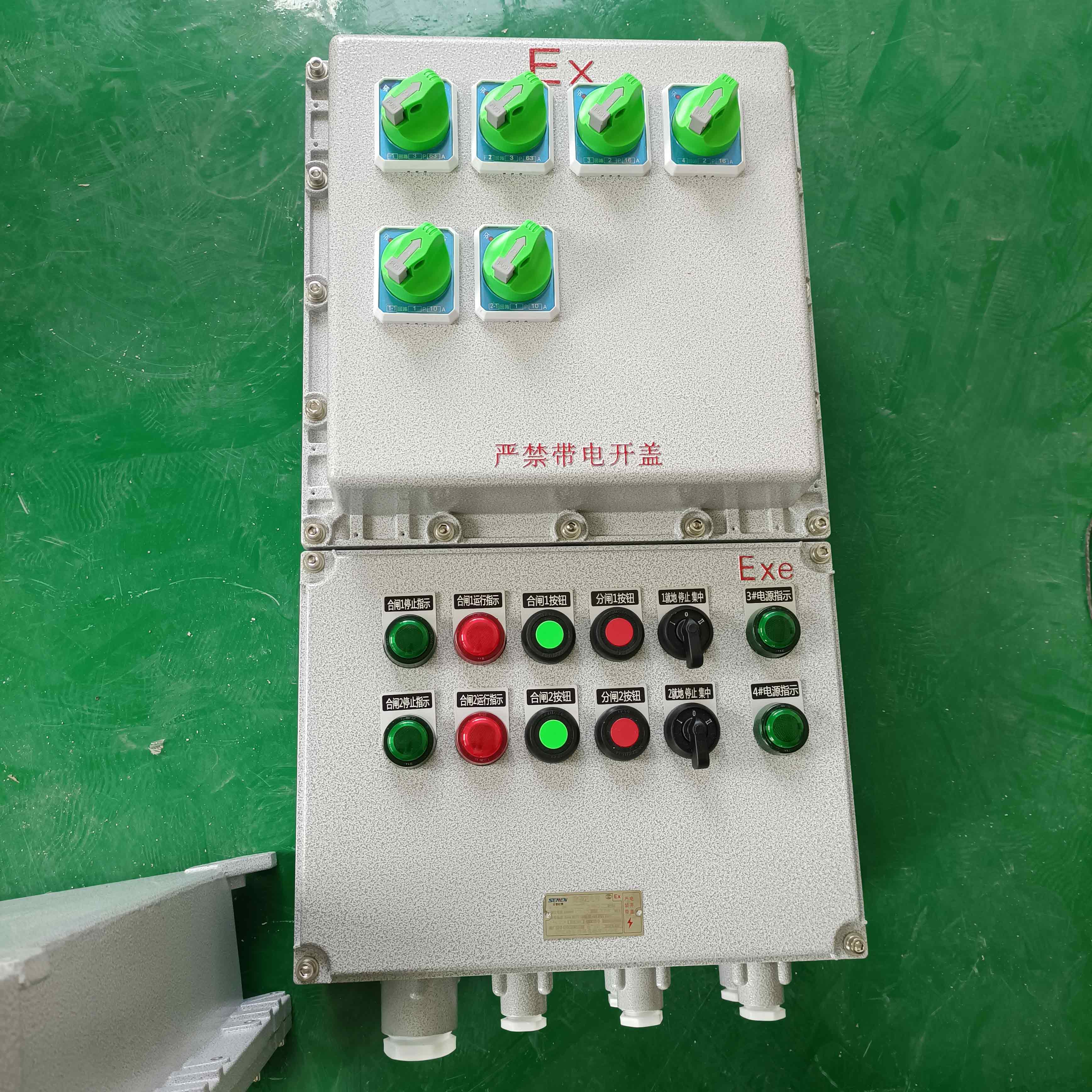 真空泵PLC遠(yuǎn)程控制箱，燃?xì)鈶?yīng)急防爆控制箱，管廊天然氣防爆控制箱