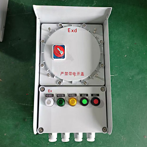 粉塵防爆斷路器箱IIC級 防爆開關(guān)箱 防爆控制箱