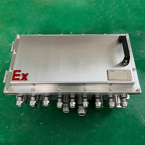 BXK51系列粉塵污水泵防爆控制箱不銹鋼